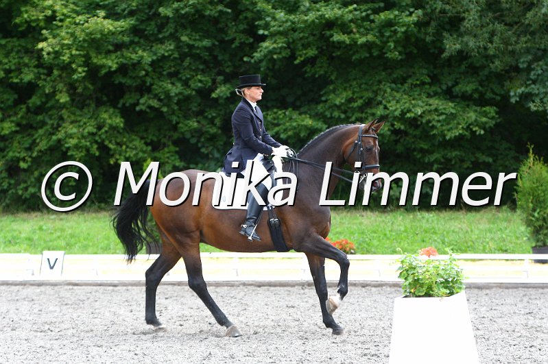 009M4996_Piquet Noir_Dressur Mxx_e.jpg